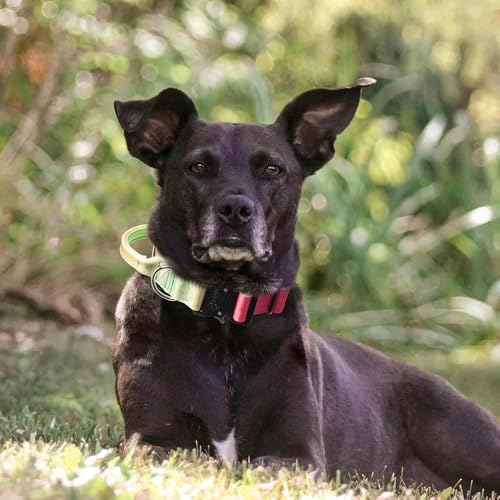 TSPRO Tactical Dog Collar, Heavy Duty Quick Release Metal Buckle and Handle