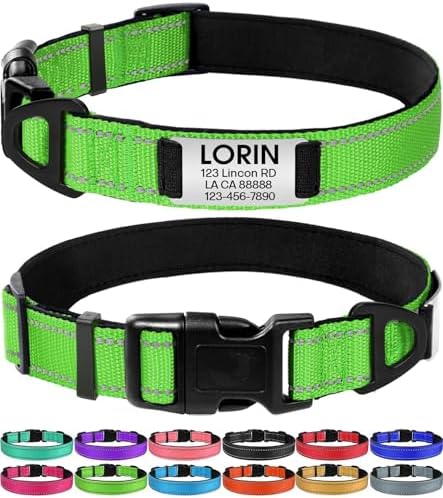 Joytale Personalized Dog Collar with Name Plate Built-in for Small Dogs