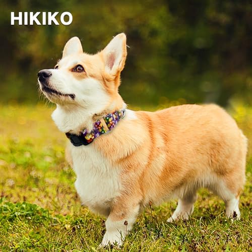 Hikiko Martingale Collar for Dogs with Special Pattern,Adjustable,S