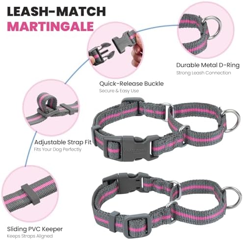 VIVAGLORY Double Handle Dog Leash Twingrip, 5ft x 1in, S, Pink Grey