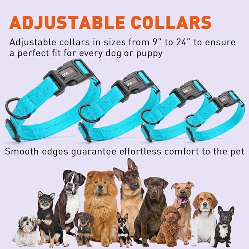 Dogline Cyan Blue Customizable Personalized Nylon Collar (W: 3/8" L: 9"-13")