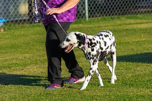 Country Brook Petz - Purple Hawaiian Everyday Dog Leash - Summer Breeze Collection Featuring Sunny Designs (6 Foot, 1 Inch Wide)