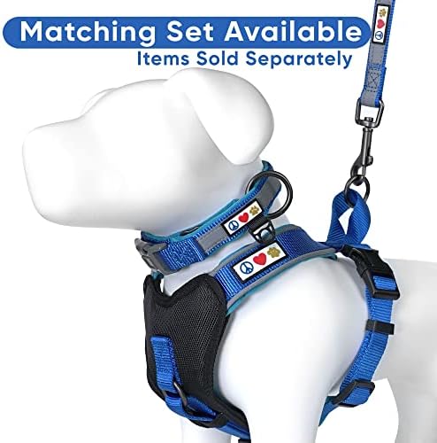 Pawtitas 6 FT Padded Dog Leash with Comfortable Neoprene Padding Handle - Blue Lead | Reflective Dog Leash with Highly Reflective Band Perfect for Extra Small and Small Dogs and Puppies
