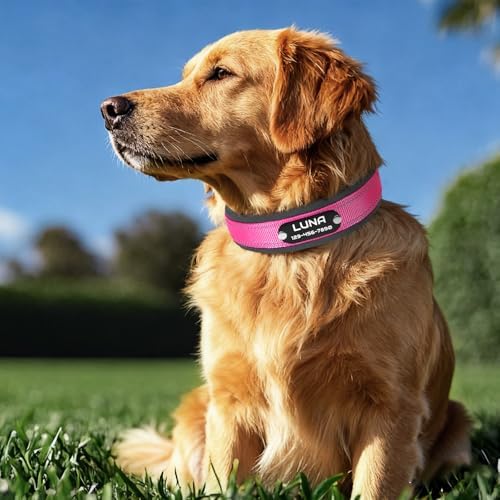 Personalized Reflective Dog Collar with Name, Orange: M