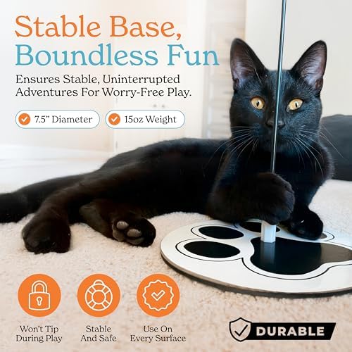 Interactive Cat Toys for Indoor Cats, Cat Toy Wand, 18 Feather Attachments