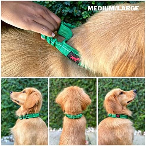 Tuff Pupper Heavy Duty Dog Collar with Handle | Ballistic Nylon Heavy Duty Collar | Padded Reflective Dog Collar with Adjustable Stainless Steel Hardware | Convenient Sizing for All Breeds