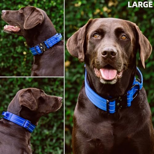 Tuff Pupper Tactical Dog Collar | Heavy Duty 1.5" Wide Ballistic Nylon | Training Control Handle | Quick-Release Metal Buckle | Reflective Bands | ID Tag Holder | Padded Inner Lining (Blue, Large)
