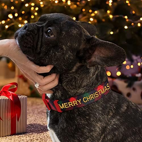 Pawtitas Personalized Dog Collar Dog Soft Adjustable Puppy Collar Customizable Embroidered add Pet Name Phone Number or Phrase Medium Gift Wrap