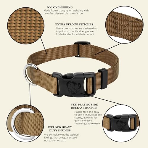 Country Brook Petz - Everyday Nylon Dog Collar for Large, Medium, and Small Dogs and Puppies - for Everyday Use in 30+ Colors (3XS, 3/8 Inch Wide, Coyote Tan)