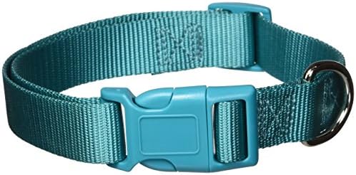 Zack & Zoey 1" Wide Nylon Dog Collar, Fits Necks 18" to 26", Bluebird