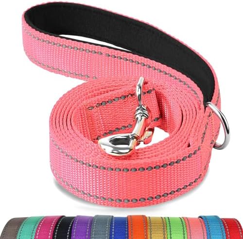 Joytale Reflective Dog Leash for Small Dogs, 6 FT x 3/4", Neon Pink
