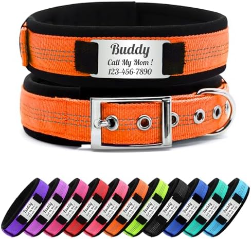 Personalized Nylon Dog Collar with Name Tag (Orange, L)