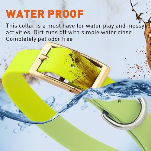 Viper Biothane Heavy Duty Waterproof Dog Collar Strong Coated Nylon Webbing w/Solid Brass Hardware Odor-Proof Easy to Clean High Performance Fits Small Medium or Large Dogs, Safety Yellow