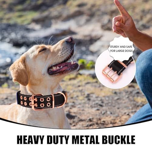 Heavy Duty Dog Collar for Medium Large Dogs,Black,Medium