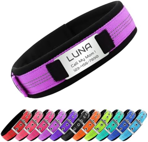 Reflective Personalized Dog Collar with Name Tag，Purple：S
