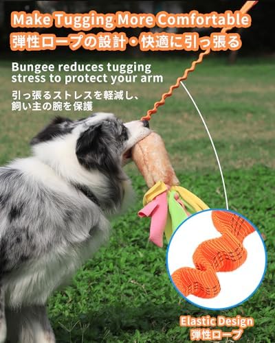 SCHITEC Tug Toy for Dogs, [2 Pack] Bungee Tug of War Squeaky Rope Toys for Exercise & Interactive Play Games, Puppy Training Pull Toy for Small Medium Large Dog