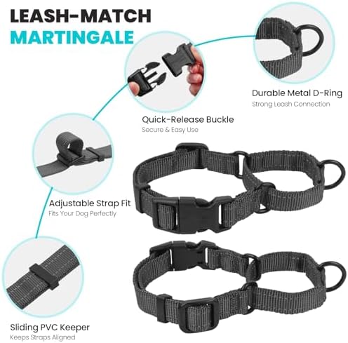 VIVAGLORY Double Handle Dog Leash Twingrip, 5ft x 1in, S, Grey