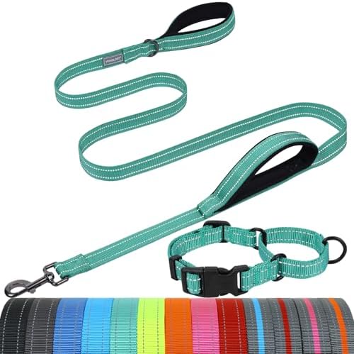 VIVAGLORY Double Handle Dog Leash Twingrip, 5ft x 1in, S, Turquoise