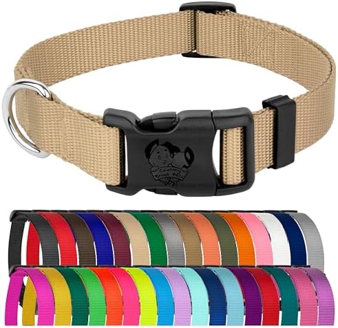 Country Brook Petz - Everyday Nylon Dog Collar for Large, Medium, and Small Dogs and Puppies - for Everyday Use in 30+ Colors (3XS, 3/8 Inch Wide, Copper Gold)
