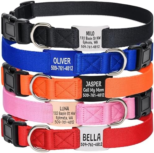 GoTags Dog Collar with Personalized Nameplate, Adjustable Dog Collar with Custom Engraved Slide On Pet ID Tag in Stainless Steel, Silent, No Noise Dog Tag Small to Large Unique Colors