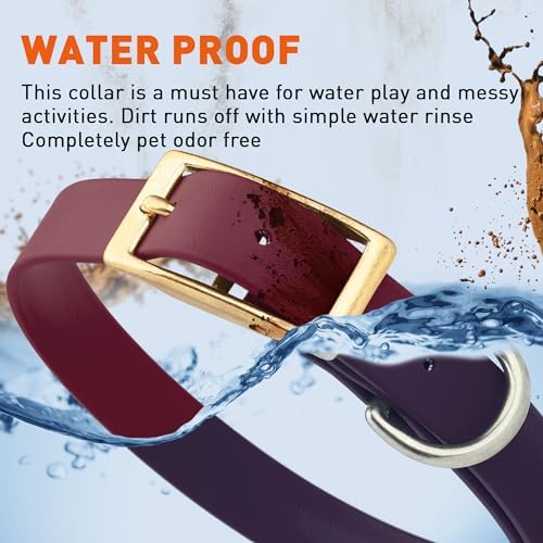 Viper Biothane Heavy Duty Waterproof Dog Collar Strong Coated Nylon Webbing w/Solid Brass Hardware Odor-Proof Easy to Clean High Performance Fits Small Medium or Large Dogs, Merlot Burgundy