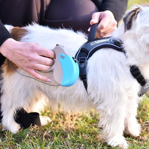 Ferplast Retractable Dog Lead Extendable Dog Leash Amigo Cord MINI, Retractable Cord, 3 m, Max 12 kg, Light Blue