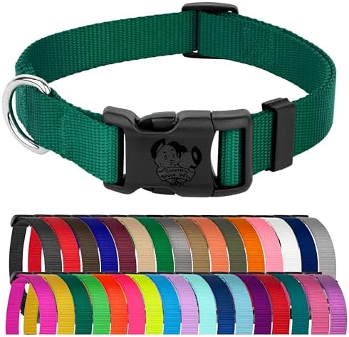 Country Brook Petz - Everyday Nylon Dog Collar for Large, Medium, and Small Dogs and Puppies - for Everyday Use in 30+ Colors (3XS, 3/8 Inch Wide, Green)