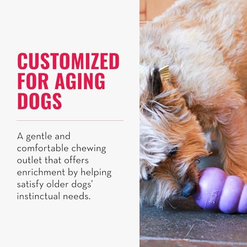 KONG Senior, Gentle Natural Rubber Toy, for Medium Dogs (Pack of 2)