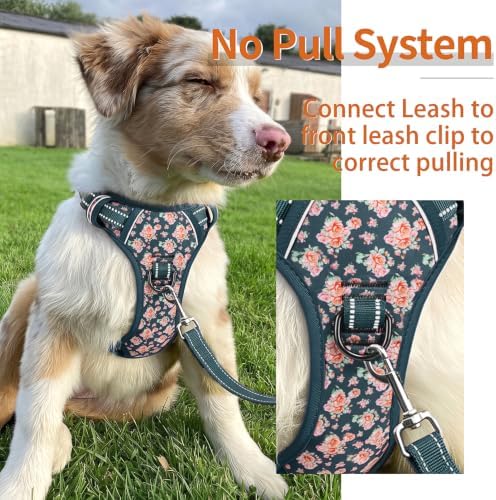 HEELE Dog Harness, Reflective, No Pull No Choke, Flower Blackish Green, L