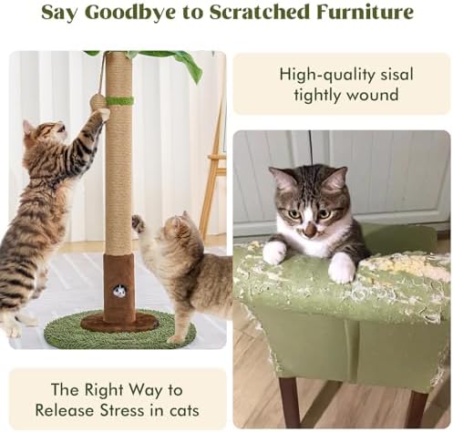 Woochpet Cat Scratching Post for Indoor Cats and Kitten - 35.43" Tall Cat Scratching Post with Sisal Rope,Palm Tree Cat Scratch Post with Hanging Ball (35.4-Green, 35.4in)