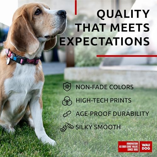 WAUDOG Adjustable Nylon Dog Collar for Large Small Medium Set with QR Tag