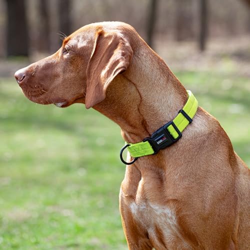 Dogline Lime Green Nylon Collar (W: 3/4" L: 13"-20")