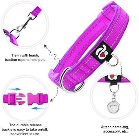 azuza Airtag Dog Collar, Large Dog Collar with Airtag Holder, Purple, L