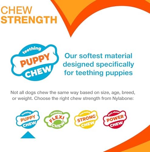 Nylabone Puppy Pacifier Chew Toy, Teething Toys for Puppies up to 25 lbs