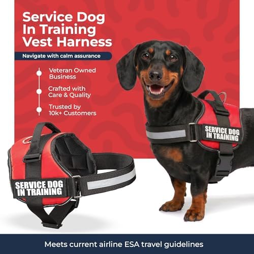 Industrial Puppy Service Dog in Training Vest Harness, XXXS 11.5-13 in, Red
