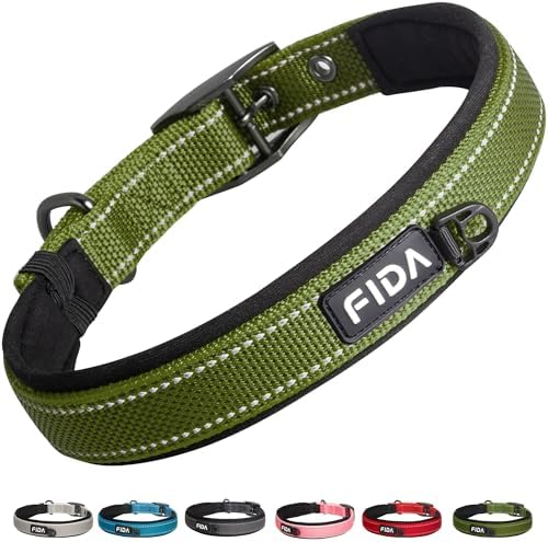Fida Padded Dog Collar for Small Dogs with Metal Belt Buckle, Green