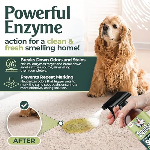 Sprinkle & Sweep: Pet Stain & Odor Enzyme Spray - 32oz, 2 Pack - No Scrubbing Concentrated Formula, Dog & Cat Urine Destroyer, Carpet Spot Cleaning