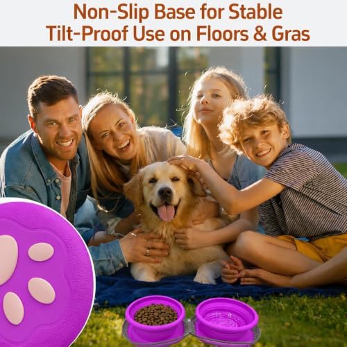 2-in-1 Collapsible Dog Travel Bowl Portable Silicone Carabiner