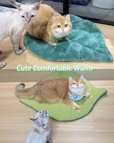Cat Mat Self Warming Cat Bed 26"x20" Leaf Shaped Cotton Soft Warm Pet Pad Blanket for Indoor Bed Couch Sofa Floors Cat and Dog (Green)