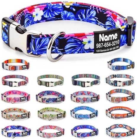 Engraved Personalized Dog Collar with Name Plate - Customized with ID Tag and Phone Number - 6 Styles for Boys, Girls, Male, Female, Puppies - Thin, Fancy Basic Collar (X-Small)