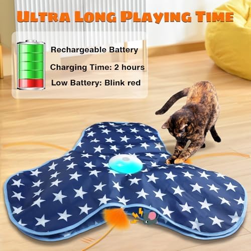 Oxawo Cat Toys Interactive Hide and Seek Cat Game