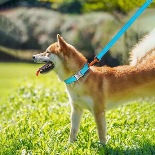 Silent Dog Collar Personalized with Name Phone Number Laser Engraved