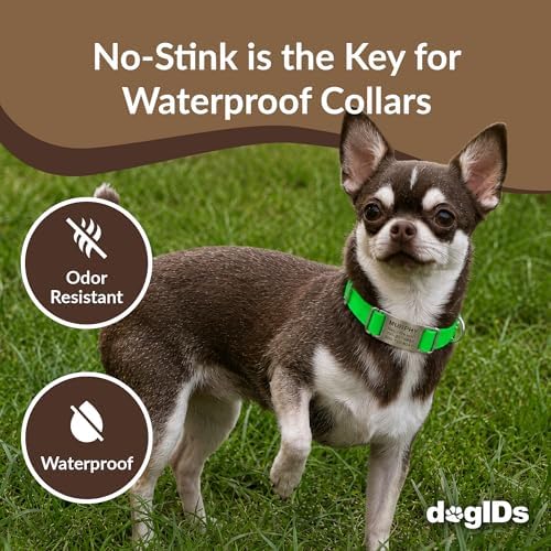 dogIDs Personalized Quick Release Waterprooft ScruffTag Dog Collar - Built-in Custom Laser Engraved Nameplate, Odor Resistant - Green, 3/4 in x 11-14 in (Fits Neck Sizes: 11-14 in)