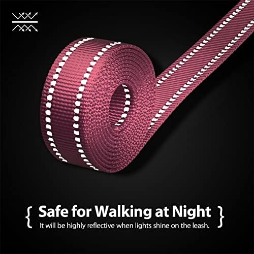 PHOEPET 5 Feet Dog Leash - Dual-Side Reflective - Soft Padded Handle