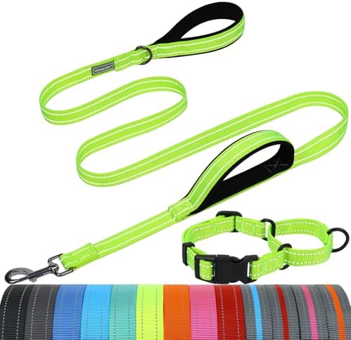 VIVAGLORY Double Handle Dog Leash Twingrip, 5ft x 1in, M2, Neon Yellow