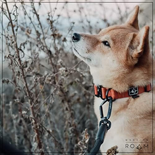 MADE TO ROAM Premium Everyday Leash - Ultra Soft Dog Leash with Aviation Aluminum Carabiner for Small, Medium, Large Dogs - Washington Rain, 6ft (Metal Clamps)