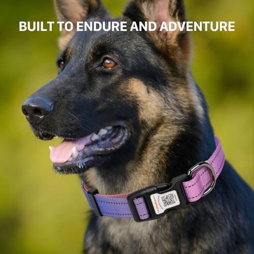Personalized Dog Collar with QR Code Dog Tag, Pink&Orange XS