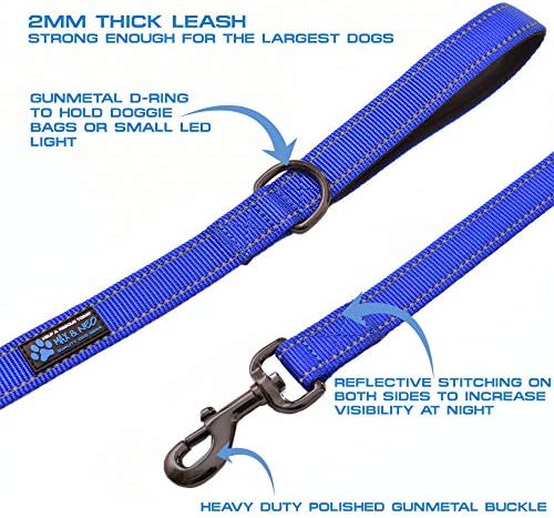 Max and Neo Small Dog Leash - Reflective Nylon, Donates to Dog Rescue (Orange, 4x5/8)