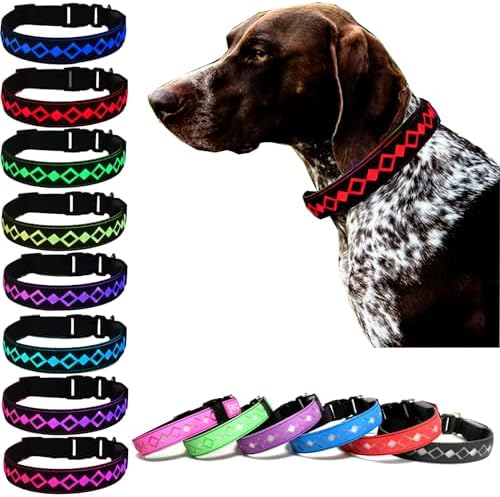 Personalized Flashing Dog Collar with Laser Engraved ID Tag
