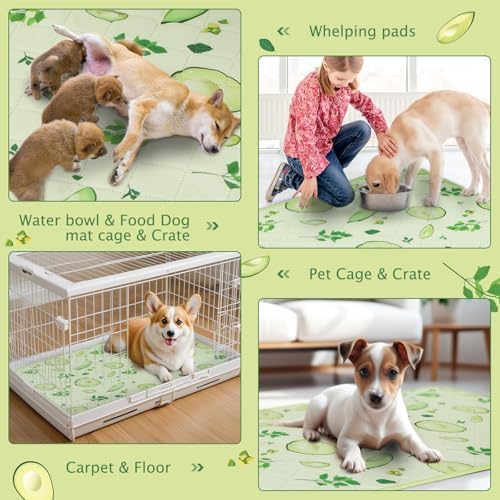 BVAGSS Washable Pee Pads for Dogs, 2 Pack Reusable Leakproof Puppy Wee Wee, Non-Slip Waterproof Pet Training, Super Absorbent Whelping XH081 (Avocado, 36X24 Inch)